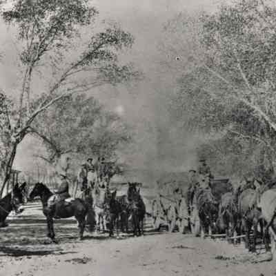 St. Thomas, NV. Street in front of Harry Gentry's General Merchandise with wagons & teams, ca. 1900s