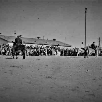 Boulder City sports and recreation: Donkey Baseball game 1932-1934