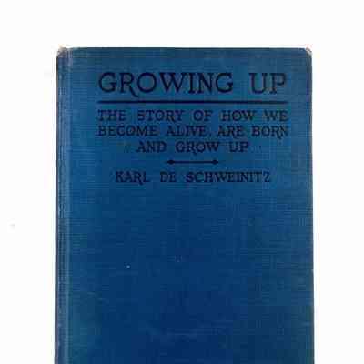 Growing Up,The Story of how we Become Alive, are Born and Grow Up