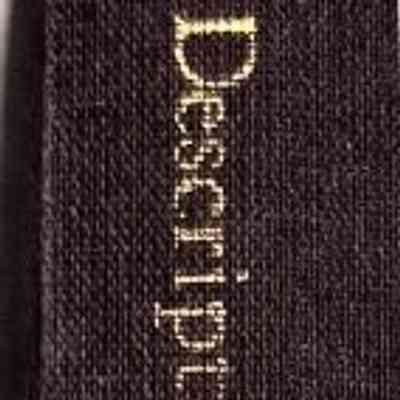 Descriptive Geology of Nevada South of the 40th Parallel