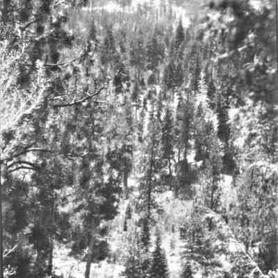 Mt. Charleston, NV. c. 1934-35