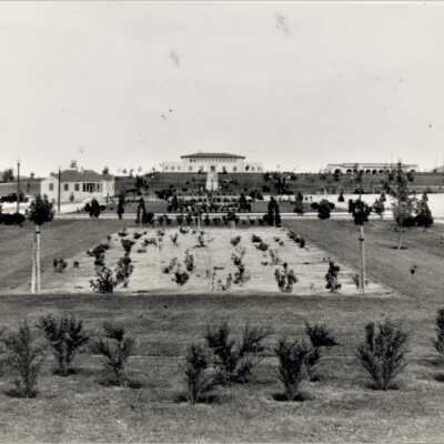 Boulder City Landscaping October 1933