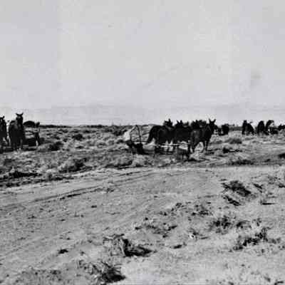 Union Pacific Railroad - Boulder City branch line