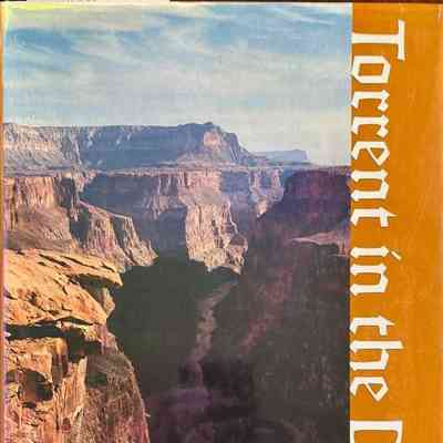 Torrent in the Desert (2 copies)