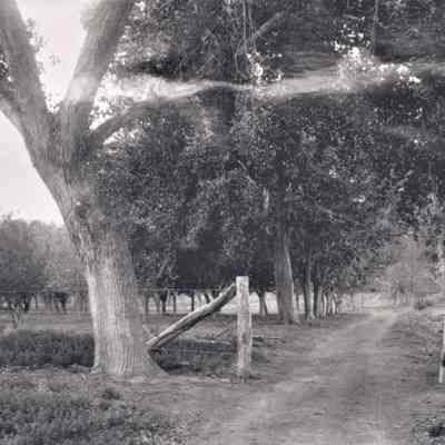 Las Vegas- Old Ranch, ca. 1900s