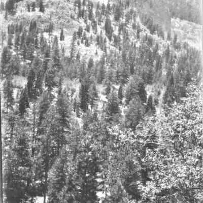 Mt. Charleston, NV. c. 1934-1935