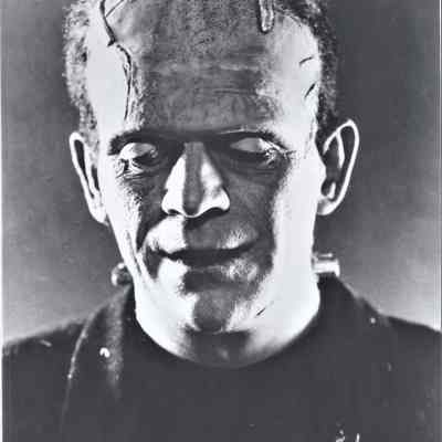 Boris Karloff as Frankenstein's monster