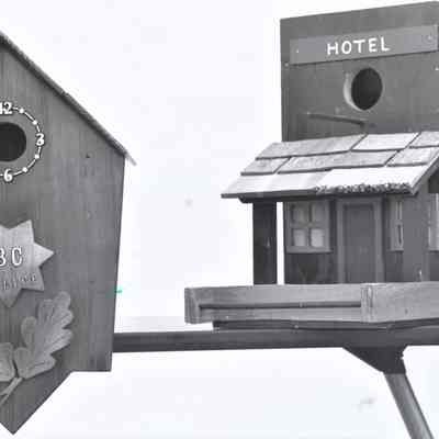 Boulder Dam Hotel- birdhouse auction fundraiser, April 29, 1995