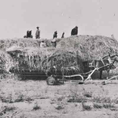 Las Vegas haying at the Kiel Ranch 1900's