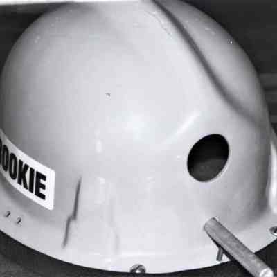 Boulder Dam Hotel- birdhouse auction fundraiser, April 29, 1995