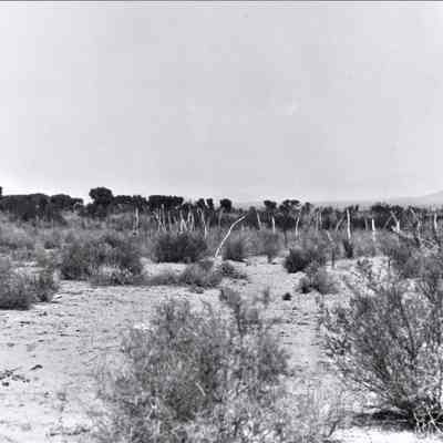 "Cemetery at Kaolin, Nevada, from which graves are to be removed prior to inundation beneath the waters of Black Canyon Reservoir" May 13, 1934