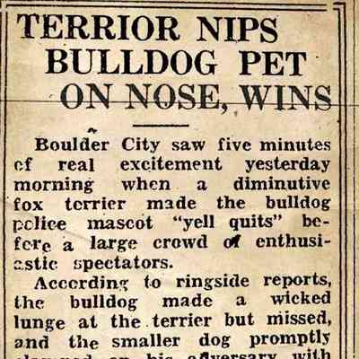 Boulder Mike (Police dog, 1931)