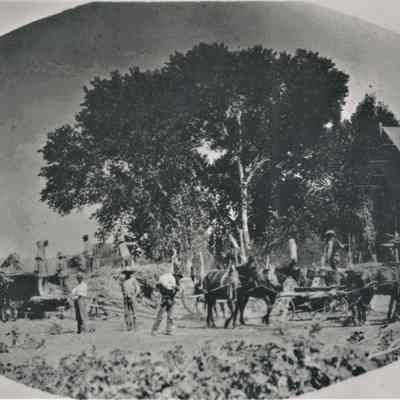 Bunkerville, NV. J.I. Earl Farm at Bunkerville, Harvest 1905