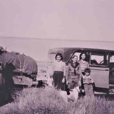 Friedman Family bound for Nevada