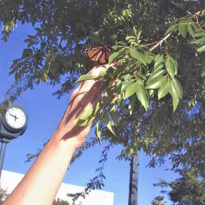 Hotel Plaza clock dedication May 19, 2006