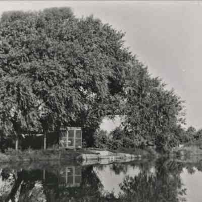 Las Vegas Tule Springs/Corn Creek Ranch, ca. 1920s-1930s