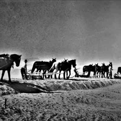 Union Pacific Railroad - Boulder City branch line October 1930