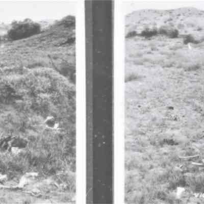 Skeletons - "Victims of the Desert