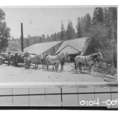 Mt. Charleston, NV. Sawmill in Kiel Canyon