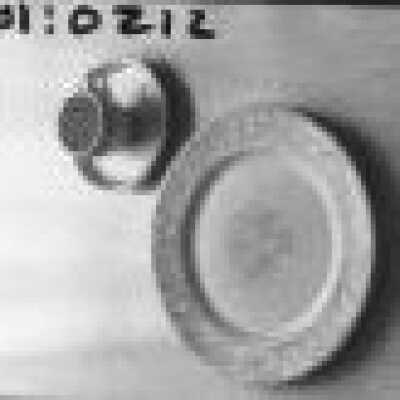 dining room dishes, Harry Won: Origformat: Negative