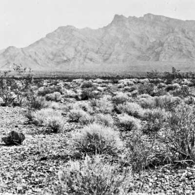 Virgin River Valley - 2 miles South of St. Thomas. Virginia Mountain in background. c.1919