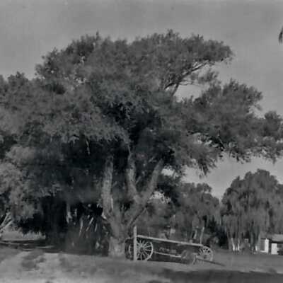 Tule Springs, NV. Corn Creek Ranch Spring 1938