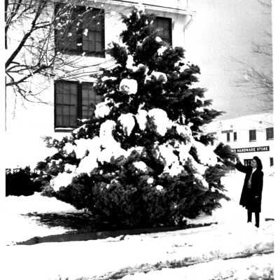 Boulder Dam Hotel snow: evergreen tree on the south side of the hotel 1948