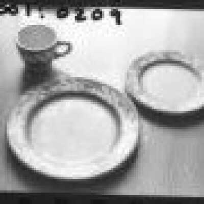 Origformat: Negative