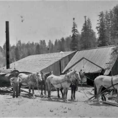 0002:0109: Mt. Charleston, NV. Sawmill in Kiel Canyon