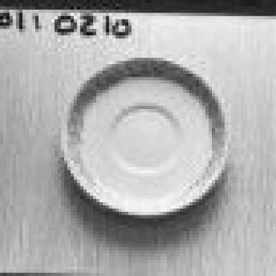 dinig room dishes, Harry Won: Origformat: Negative