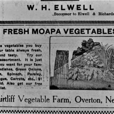 Overton, NV. Advertisement for the Shirtliff fresh vegetable Farm in Overton Apr. 12, 1919