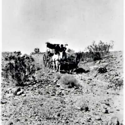 Stagecoach Hank Tuff's mules pulling Jim Ladd's stage in 1911 the old Mormon Trail near Ft. Callville