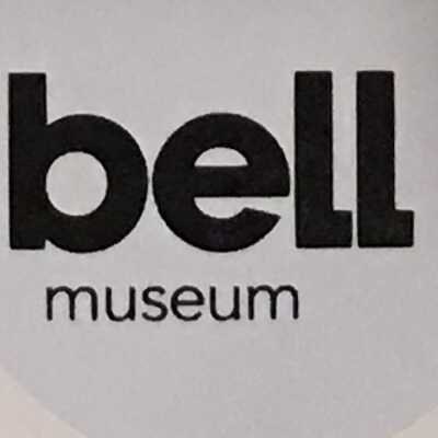 Bell Museum Pin