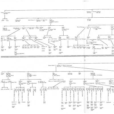 Family tree, part 2