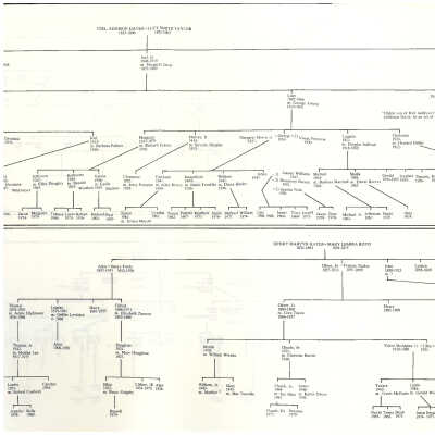 Family tree, part 3
