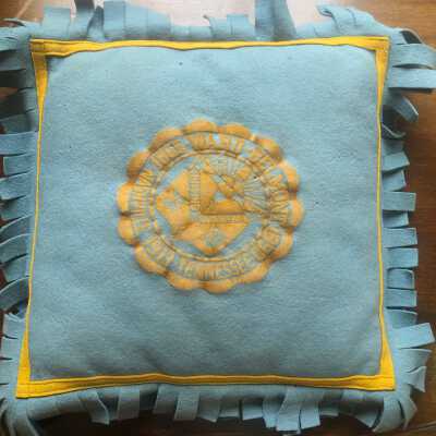 Blue Ward-Belmont Seal Pillow