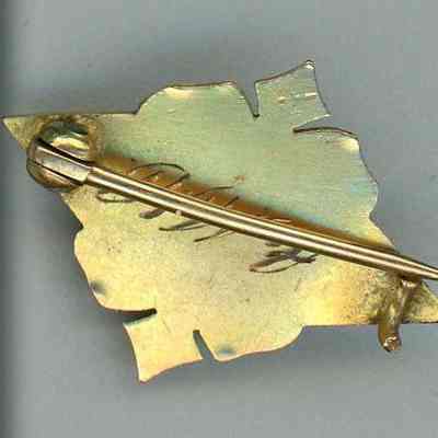 Ward Seminary pin (back view)