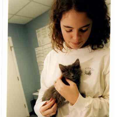 Courtney Curb - Winterim 1999
