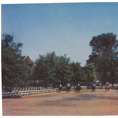 The Riding Ring