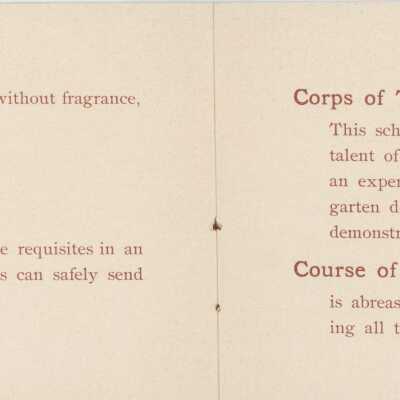 Text continued from page 2: Page 3