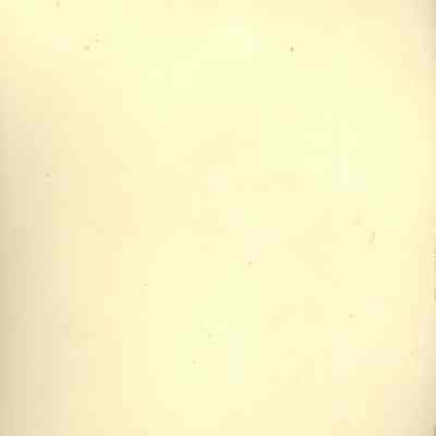 Annie C. Allison 1926 age 54: Back side of 1926 photograph