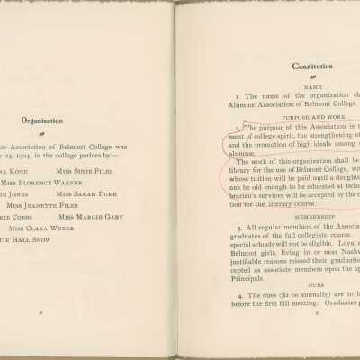 Organization description and Constitution: Pages 4-5