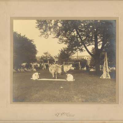 May Day celebration at Ward-Belmont, possibly 1923.