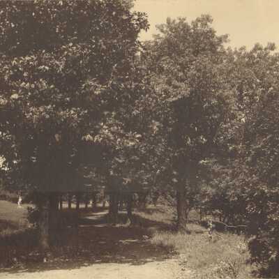 View of tree-lined lane with statues visible along the side. Writing on back looks like "Ana Mc----" and "Elizabeth Nittich" 21.