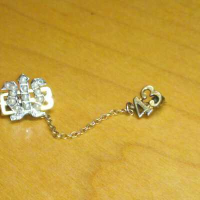 Lapel pin