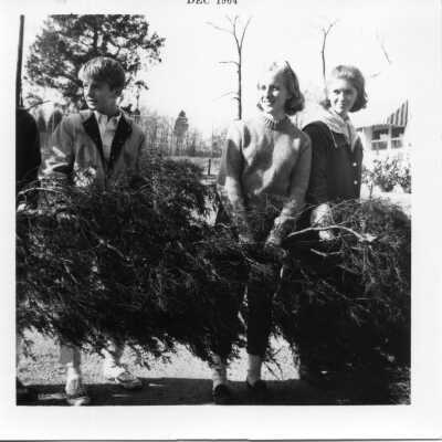 Students in December of 1964 carrying an evergreen tree on campus.