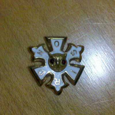 Pin