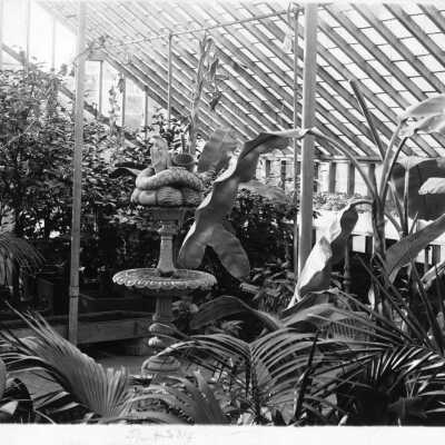 Ward-Belmont greenhouse