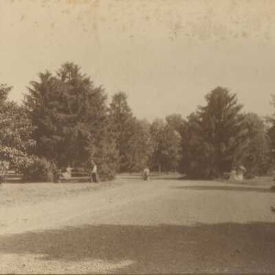 A wide grassy lawn with tall trees and five young women visible in the distance.