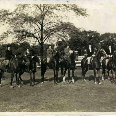 Horseback riding